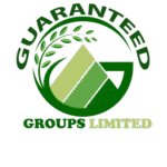 GG_LOGO-removebg-preview (1)
