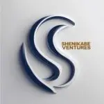 Leonardo_Phoenix_10_A_bold_and_sleek_Sshaped_logo_with_smooth_0