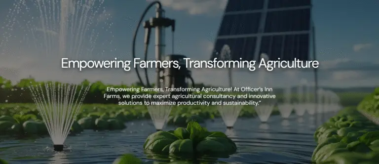 Screenshot 2025-05-17 134434